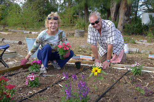 Couple Gardening